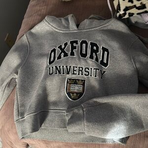 Gray cropped oxford hoodie